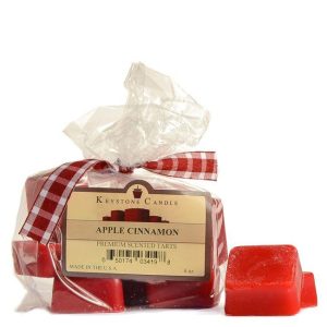 WAX MELTS | Bag of Apple Cinnamon Scented Wax Melts CANDLES WAX MELTS