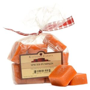 WAX MELTS | Bag of Spiced Pumpkin Scented Wax Melts CANDLES WAX MELTS