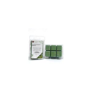 WAX MELTS | Bayberry Wax Melts CANDLES WAX MELTS