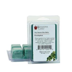 WAX MELTS | Eucalyptus Wax Melts CANDLES WAX MELTS